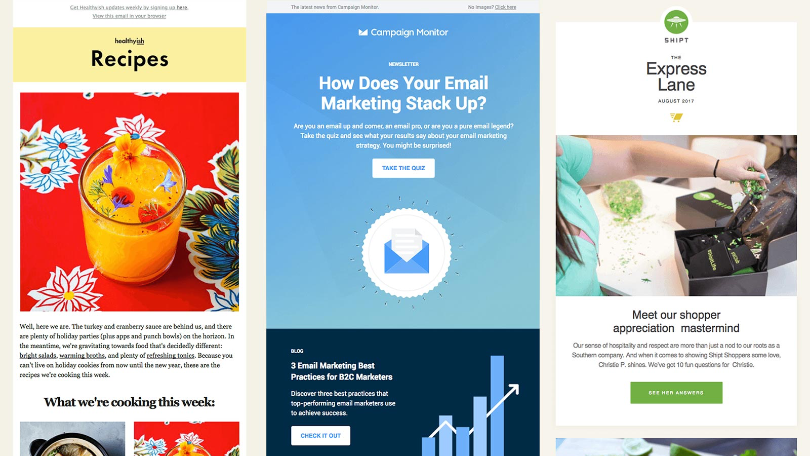 Email Newsletter